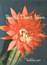 Wilbur Clark's Desert Inn Painted Desert Restaurant Menu