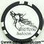 Wild Horse Saloon Brothel