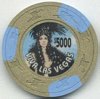Viva Las Vegas $5000 Poker Chip